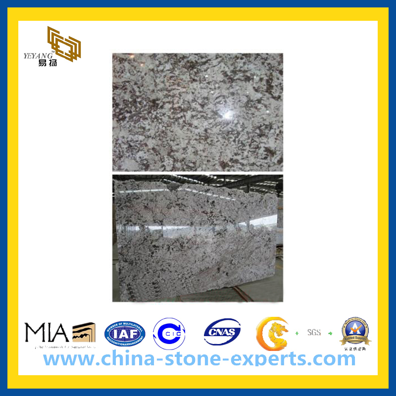 Aran White Granite Slab for Countertop (YQA-GC)