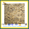Giallo Santa Cecilia Granite Slab for Countertop (YQZ-GS)