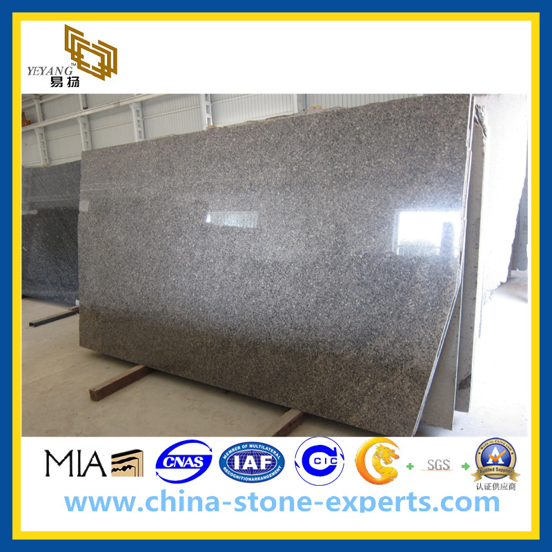Polished Star / Black Galaxy Granite Slabs for Countertopp Vanitytop(YQG-GS1016)