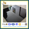  Absolute Shanxi Black Granite Tile for Paving /Countertop(YQG-GT1033)