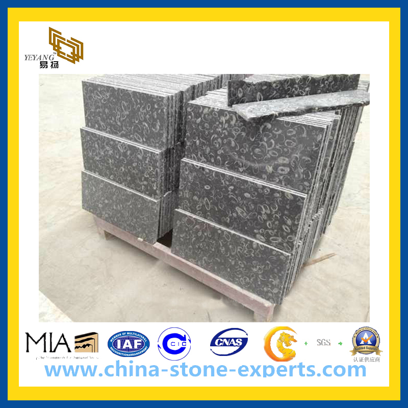 Black Marble Tile for Wall, Flooring(YQC)