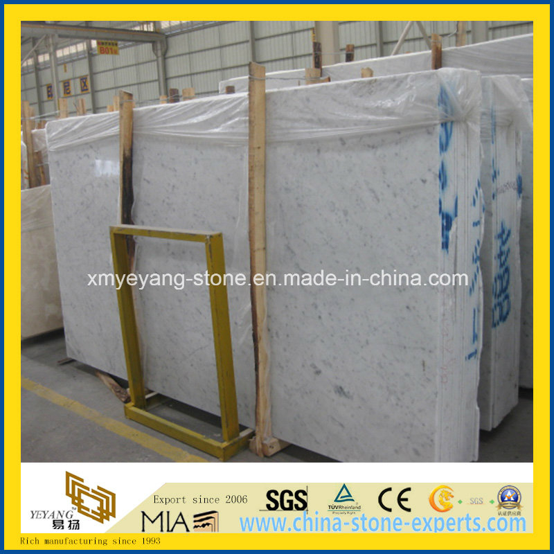 Italian Carrara White Marble Slab for Walling or Floor Tile