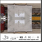 Durable New Arabescato Venato White Marble Slab for Bathroom Tile (YQW-MSA06052201）