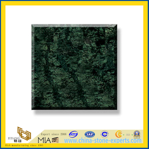 Polished Natural Stone India Green Marble Slabs for Wall/Flooring (YQC)