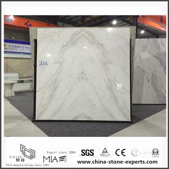 New Polished Arabescato Venato White Marble for Wall Background (YQW-MSA0622001)