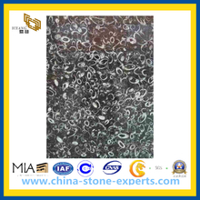 Shell Flower Black Marble Tiles for Floor and Wall(YQG-MT1020)