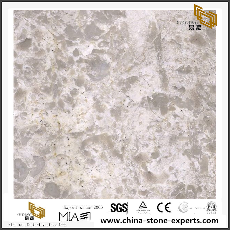 Daisy Grey Marble For Marble Design Tiles