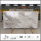  New Arabescato Venato White Marble for Indoor Backgrounds (YQW-MSA21011)