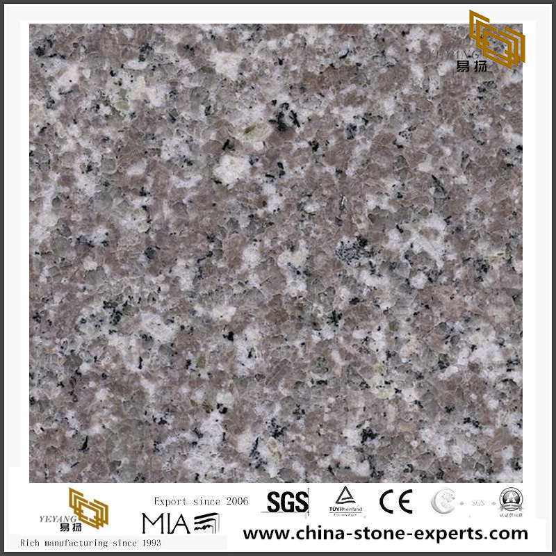 G038 Granite For Countertop Quality Grey Granite