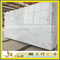 New Arrival Castro White Marble Material for Floor/Wall Decoration Material