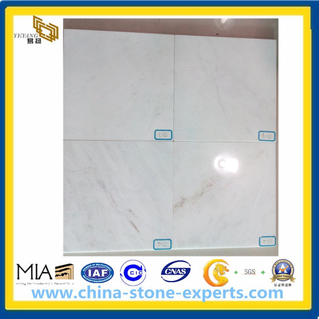 Polished Glorious White Marble Tiles for Floor and Wall (YYAZ)