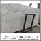 Beautiful New Polished Arabescato Venato White Marble for Floor Tiles (YQW-MSA0621014)