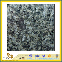 Polished Guangxi Green Granite Slabs for Countertops (YQZ-G1036)