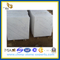 Guangxi White Marble Tiles-White Marble(YQG-MT1016)