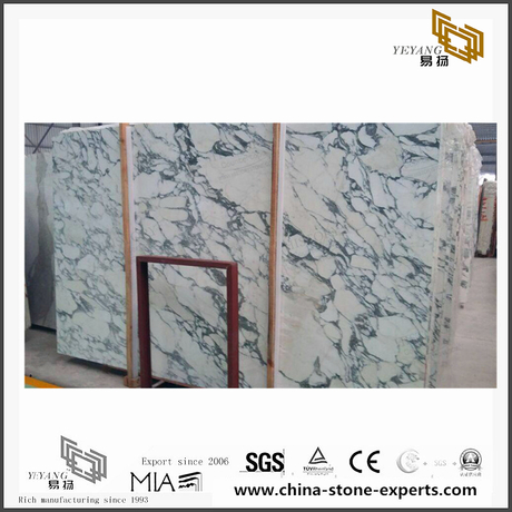 Arabescato White marble for freight & wall in the living room（YQN-090903）