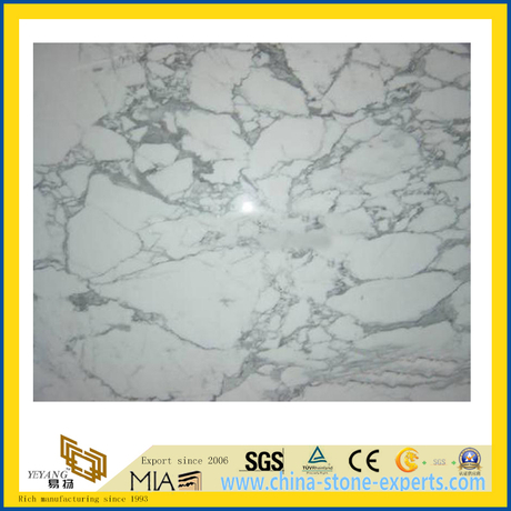 Polished Arabescato White Marble Slabs for Countertop/Vanity Top