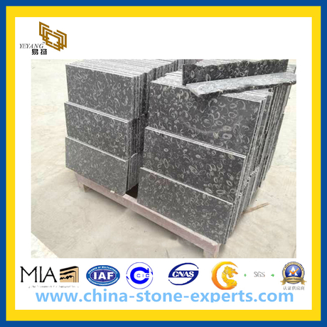 Black Marble Tile for Wall, Flooring(YQC)